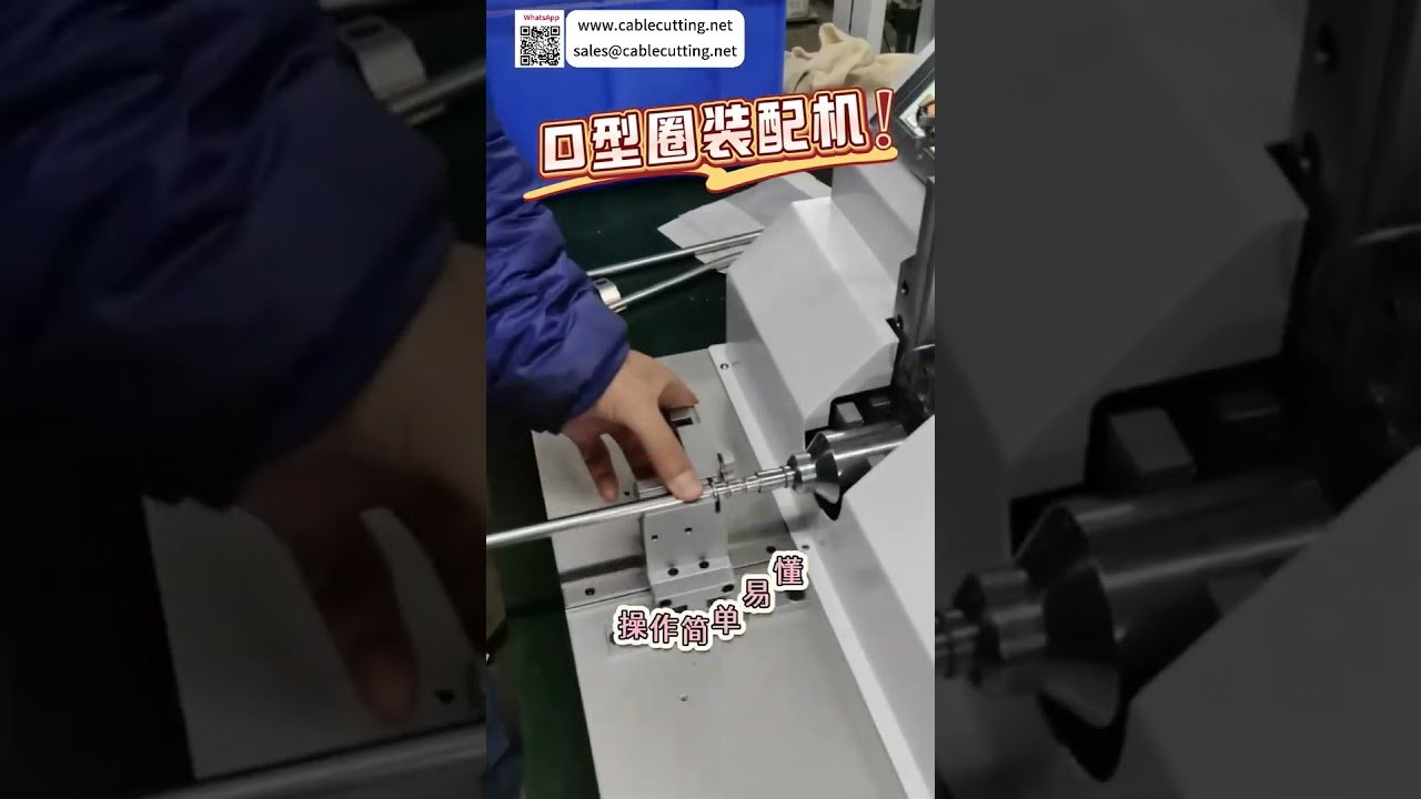 自動O型環組裝機｜精密機械結構・密封圈自動化設備