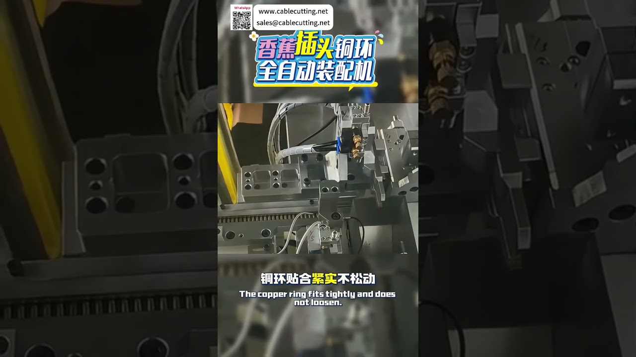 自動香蕉插頭銅環組裝機 | 高效能工業設備製造商