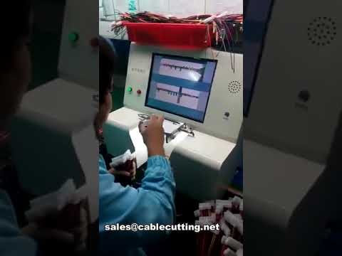 雙排連接器線束顏色測試設備 WPM-DC20 | 自動化線纜檢測機