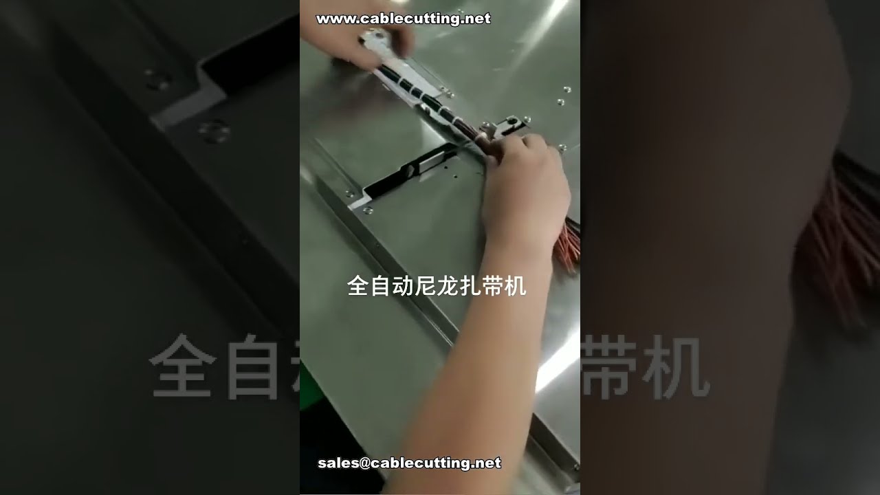 高效自動綑線機｜每分鐘30件｜自動送線、計數、裁切